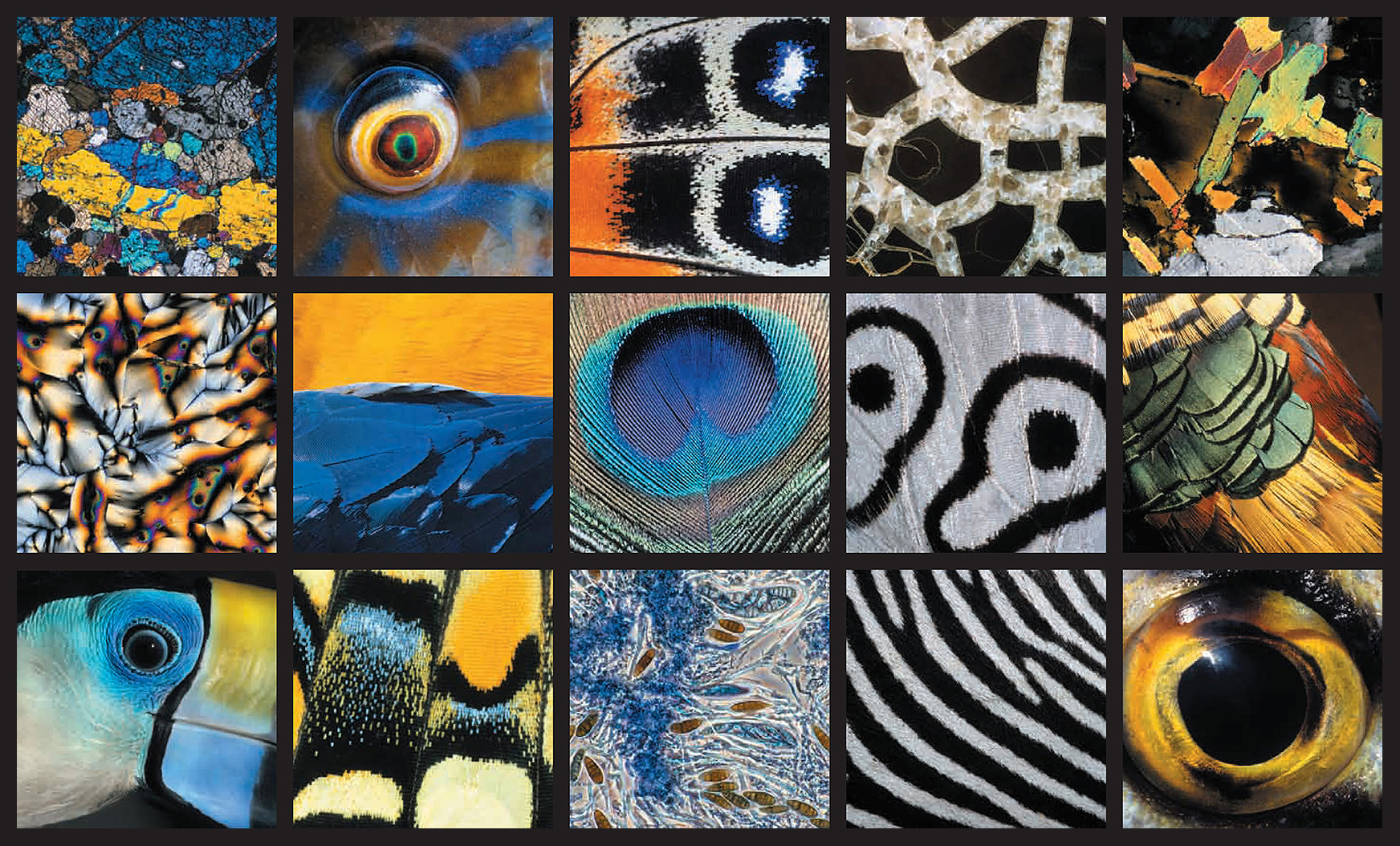 Image faisant partie d'une gallerie